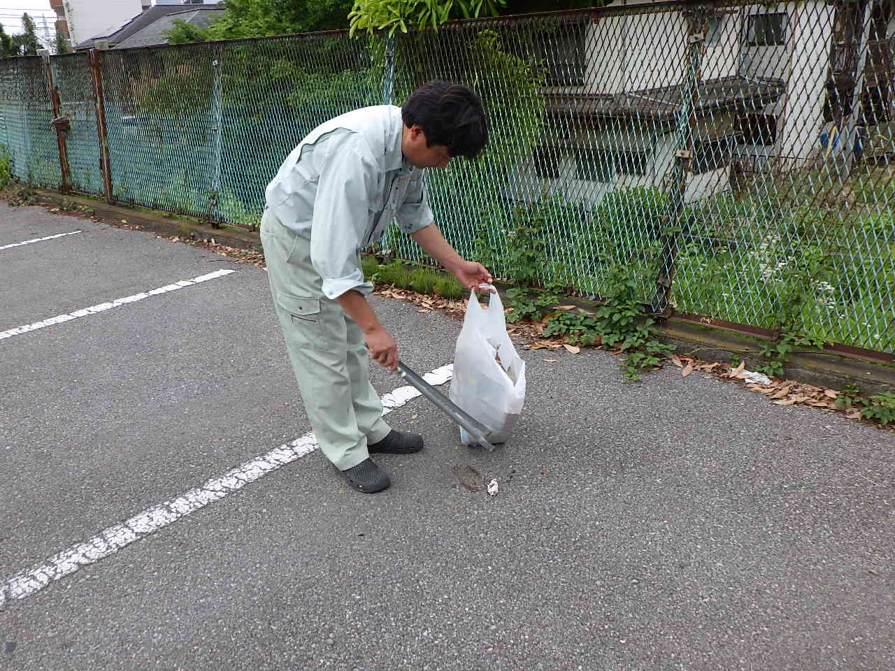 作業の様子