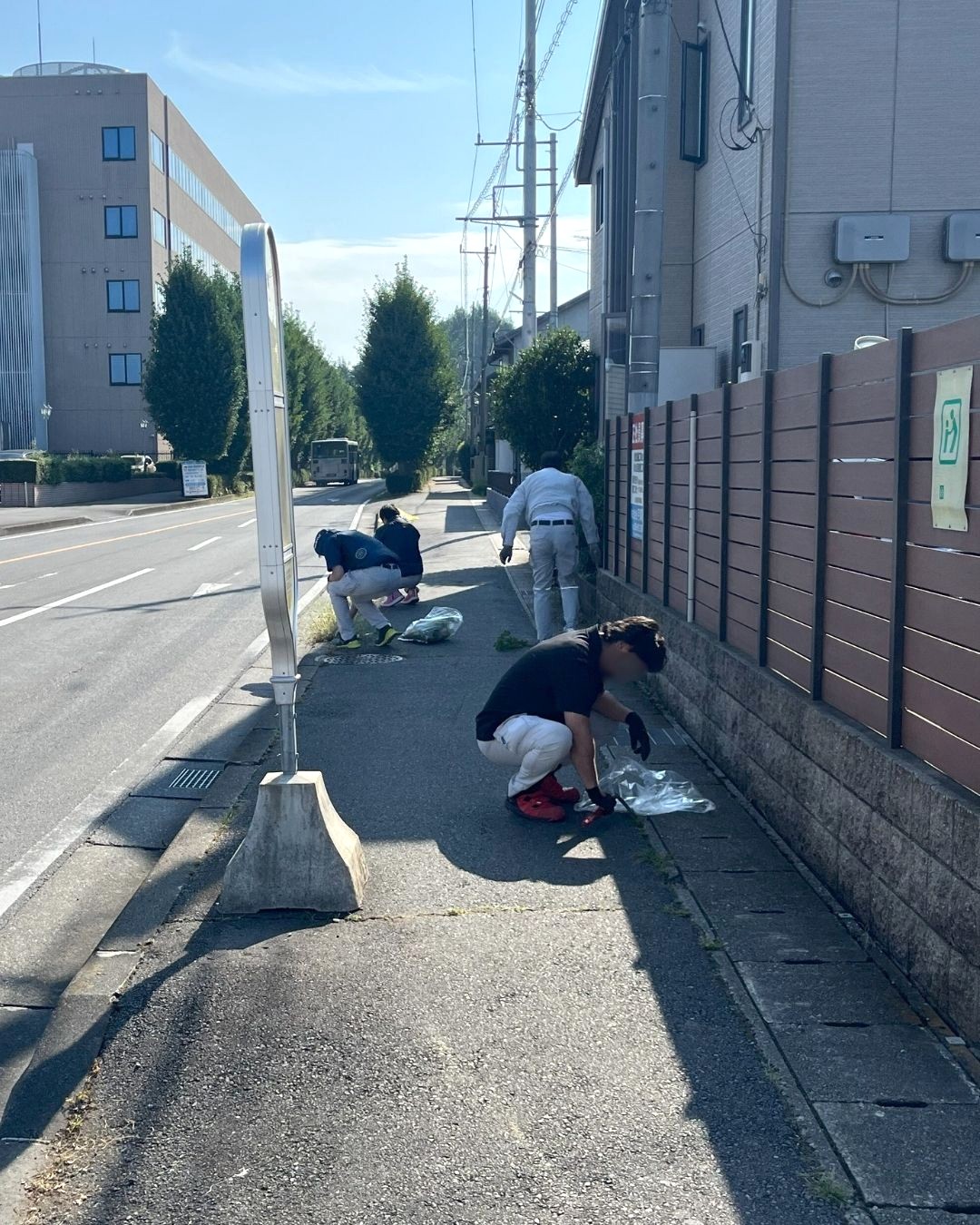草むしりの様子